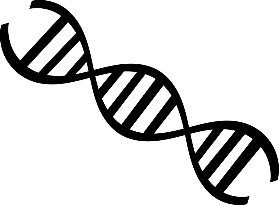 DNA Chromosome Illustration